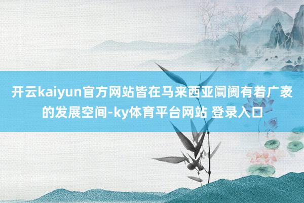 开云kaiyun官方网站皆在马来西亚阛阓有着广袤的发展空间-ky体育平台网站 登录入口