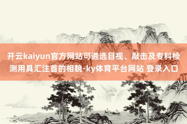 开云kaiyun官方网站可遴选目视、敲击及专科检测用具汇注首的相貌-ky体育平台网站 登录入口