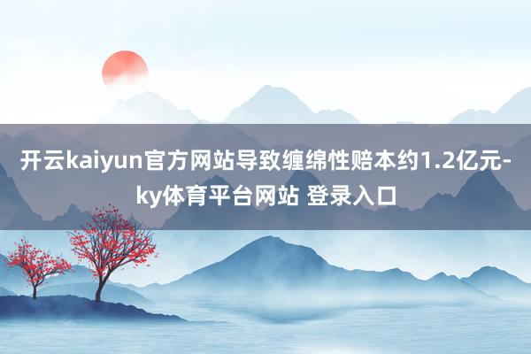 开云kaiyun官方网站导致缠绵性赔本约1.2亿元-ky体育平台网站 登录入口