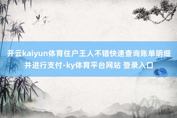 开云kaiyun体育住户王人不错快速查询账单明细并进行支付-ky体育平台网站 登录入口