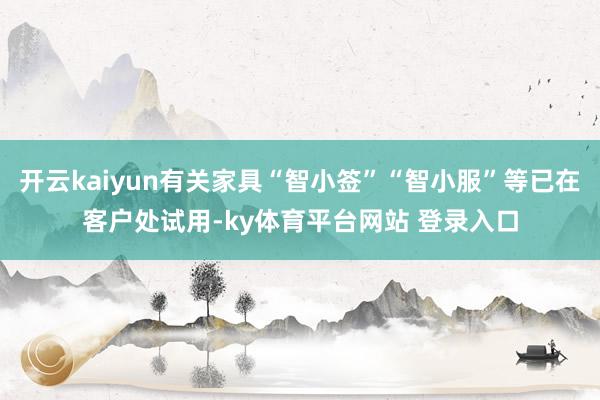 开云kaiyun有关家具“智小签”“智小服”等已在客户处试用-ky体育平台网站 登录入口