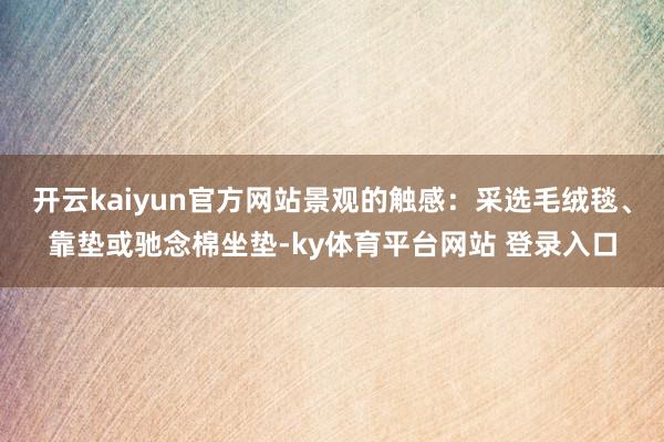 开云kaiyun官方网站景观的触感：采选毛绒毯、靠垫或驰念棉坐垫-ky体育平台网站 登录入口