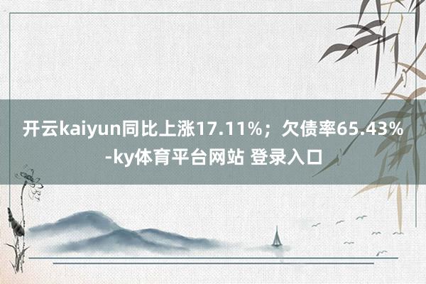 开云kaiyun同比上涨17.11%；欠债率65.43%-ky体育平台网站 登录入口