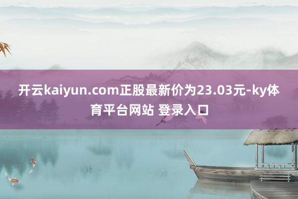 开云kaiyun.com正股最新价为23.03元-ky体育平台网站 登录入口