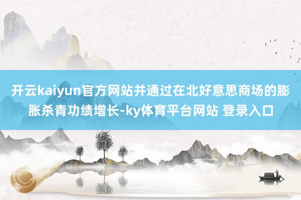 开云kaiyun官方网站并通过在北好意思商场的膨胀杀青功绩增长-ky体育平台网站 登录入口