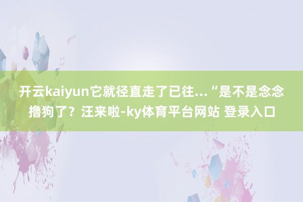 开云kaiyun它就径直走了已往...“是不是念念撸狗了？汪来啦-ky体育平台网站 登录入口